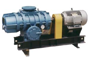 3L62WD型羅茨鼓風(fēng)機(jī)