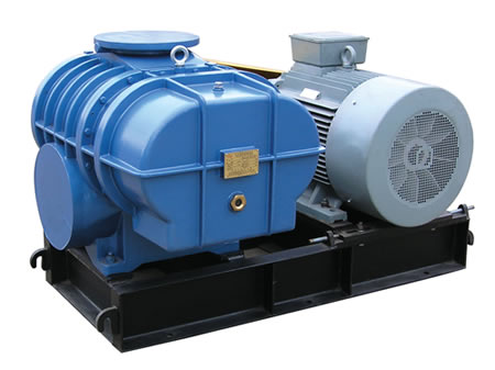 3L52WC、3L53WC型羅茨鼓風(fēng)機(jī)